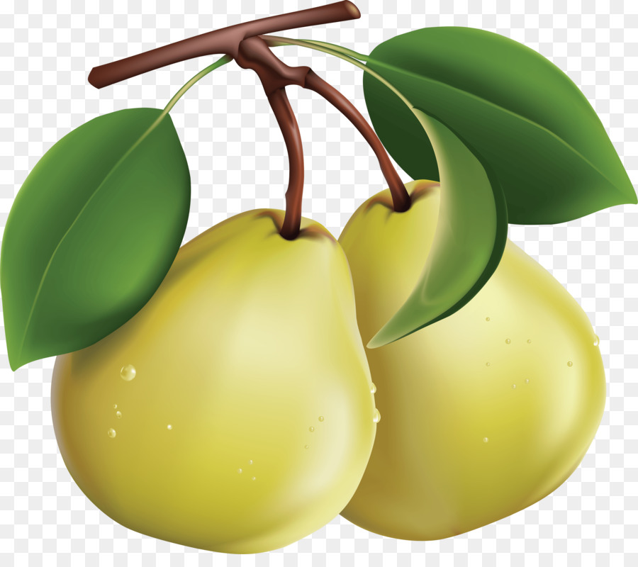 Buah，Bosc Pear PNG