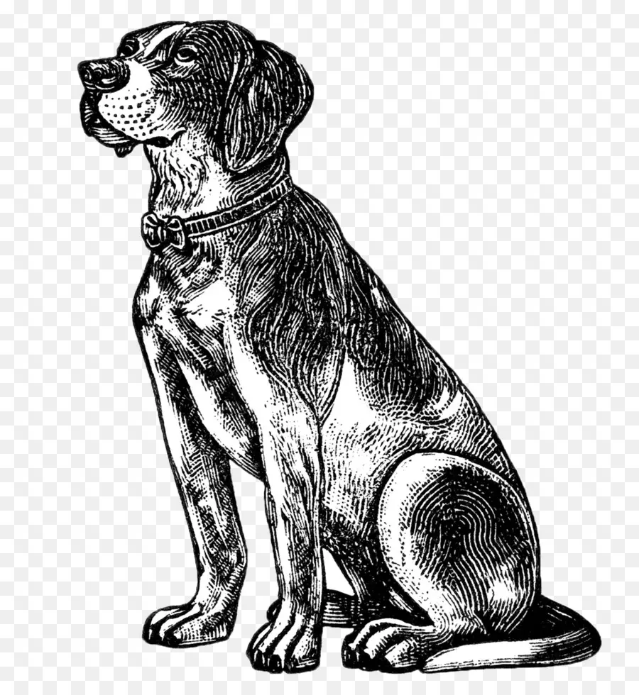 Ilustrasi Anjing Antik，Hewan PNG