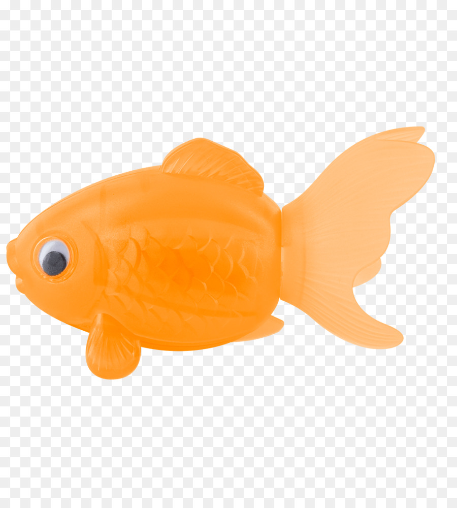 Ikan Badut，Ikan PNG