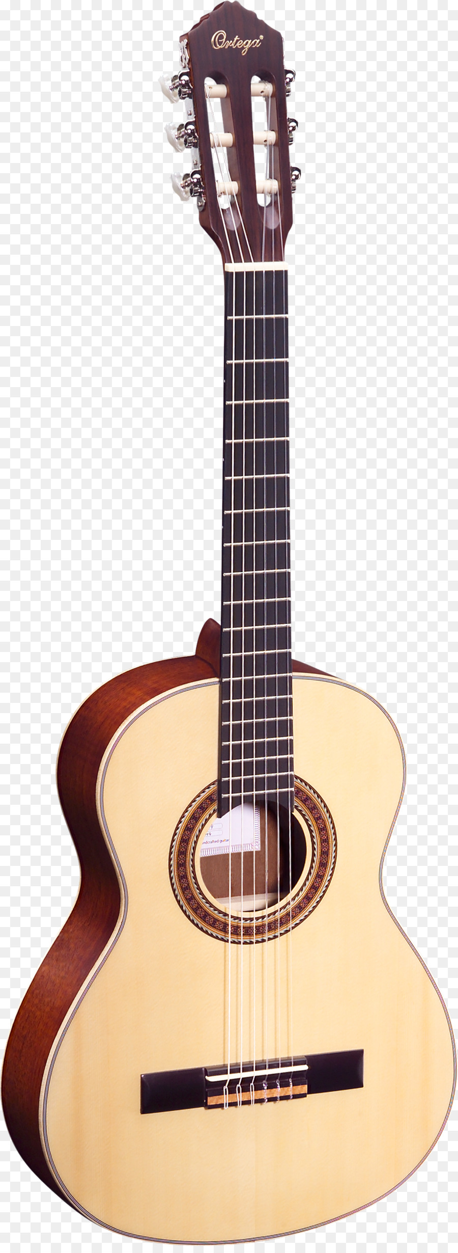 Twelvestring Gitar，Steelstring Gitar Akustik PNG