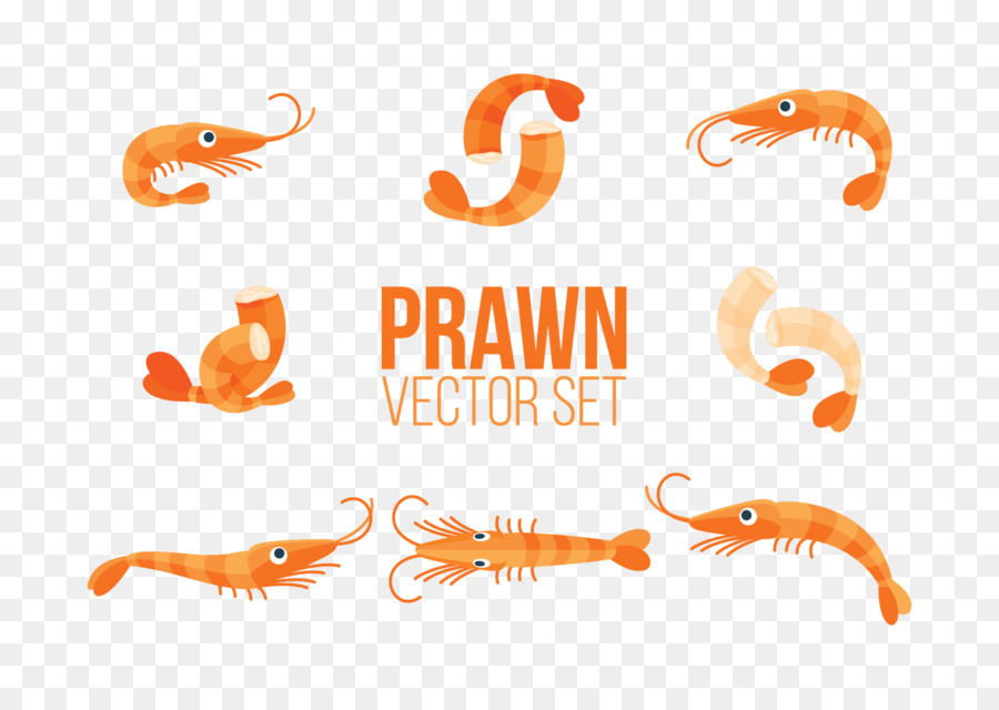 Udang，Menggambar PNG