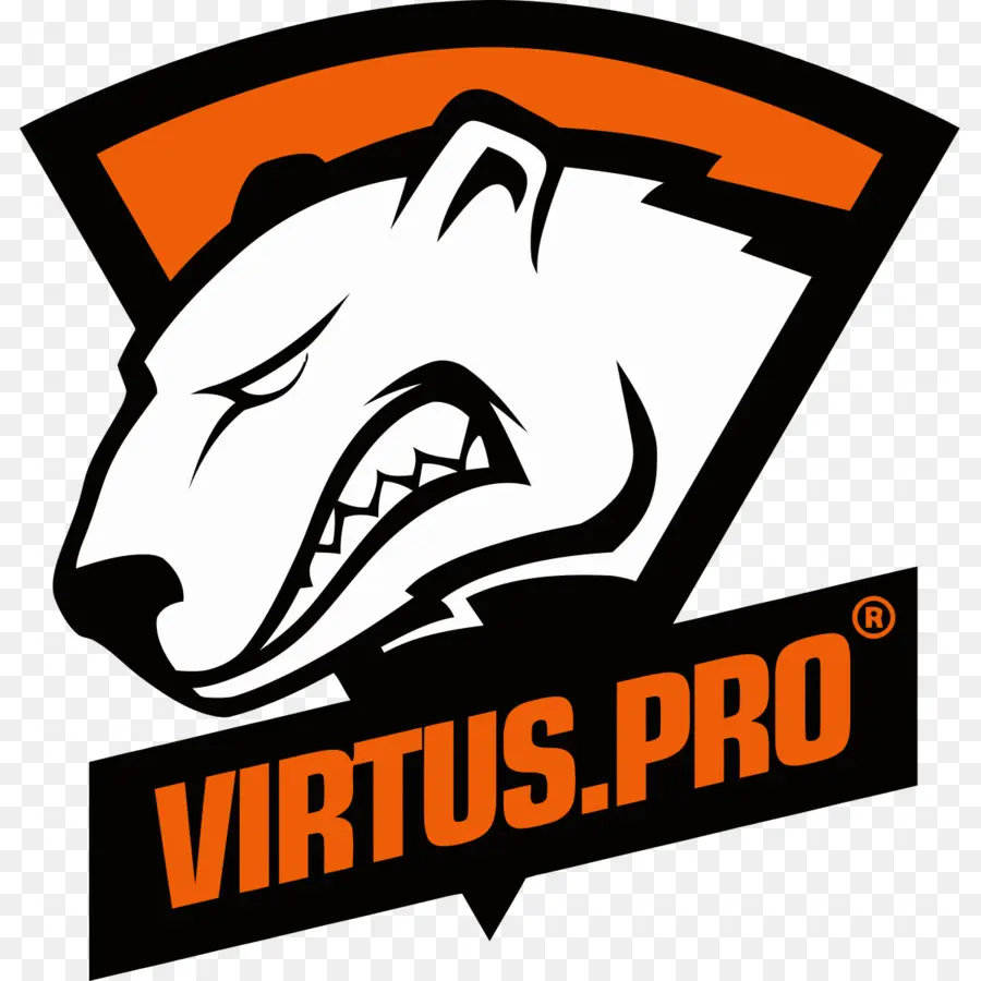 Beruang，Virtus Pro PNG