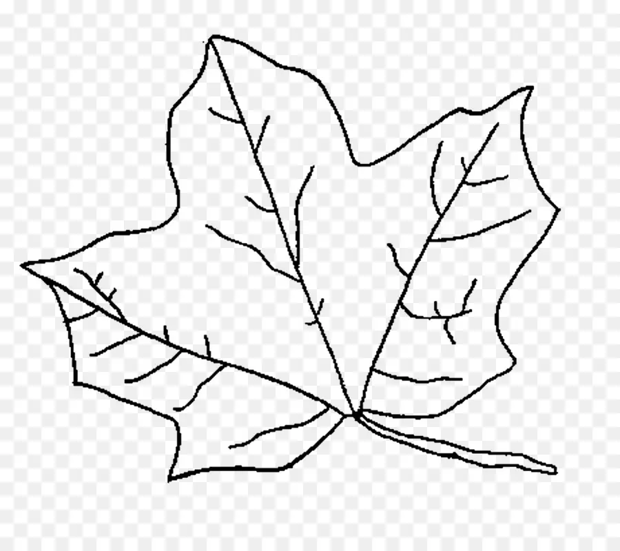 Daun Maple，Daun PNG