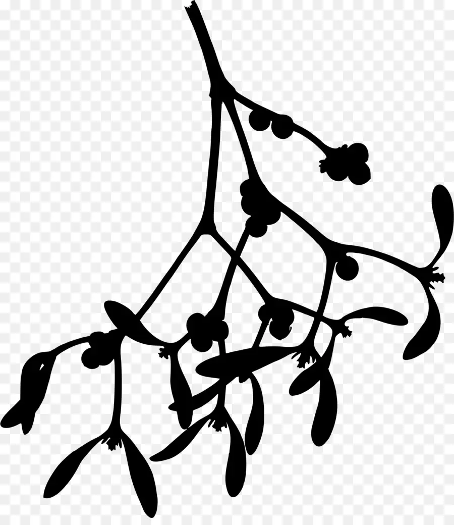 Mistletoe，Gambar PNG
