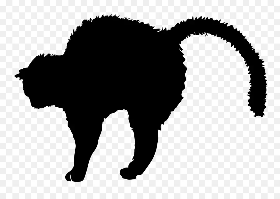 Kucing Hitam，Bayangan Hitam PNG