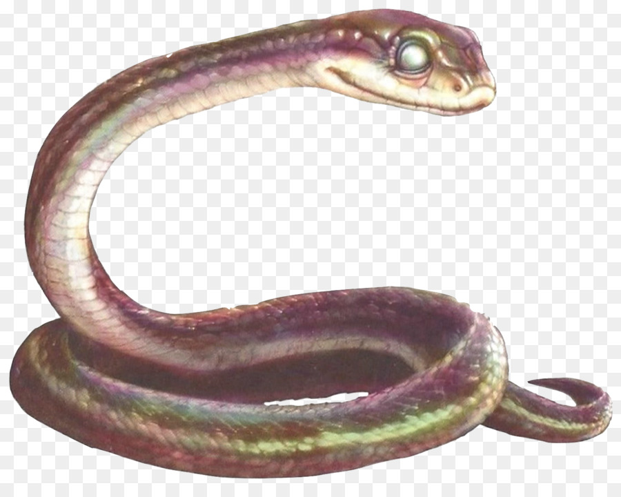 Ular Hijau，Reptil PNG