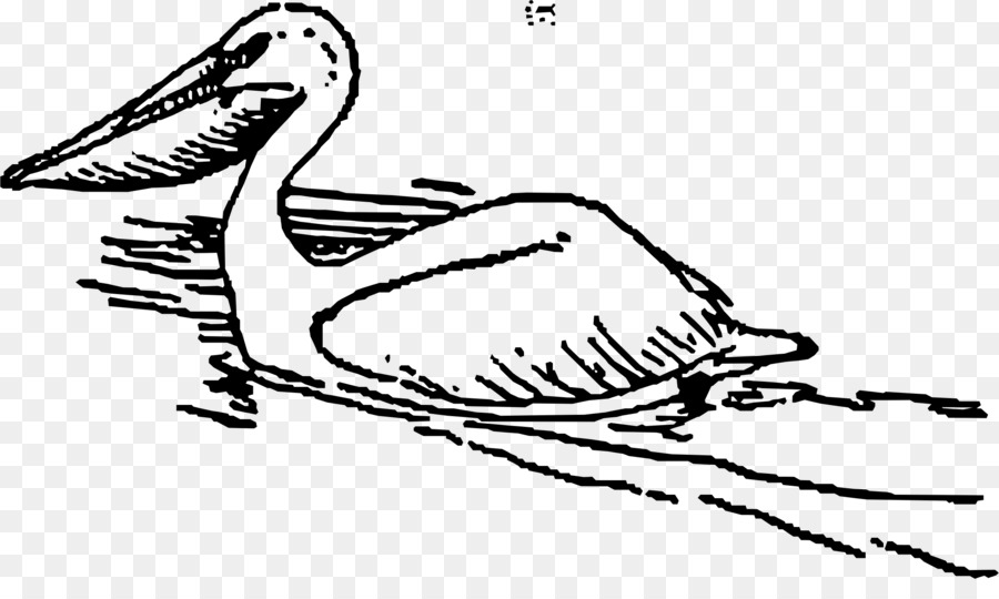 Pelican，Gambar PNG