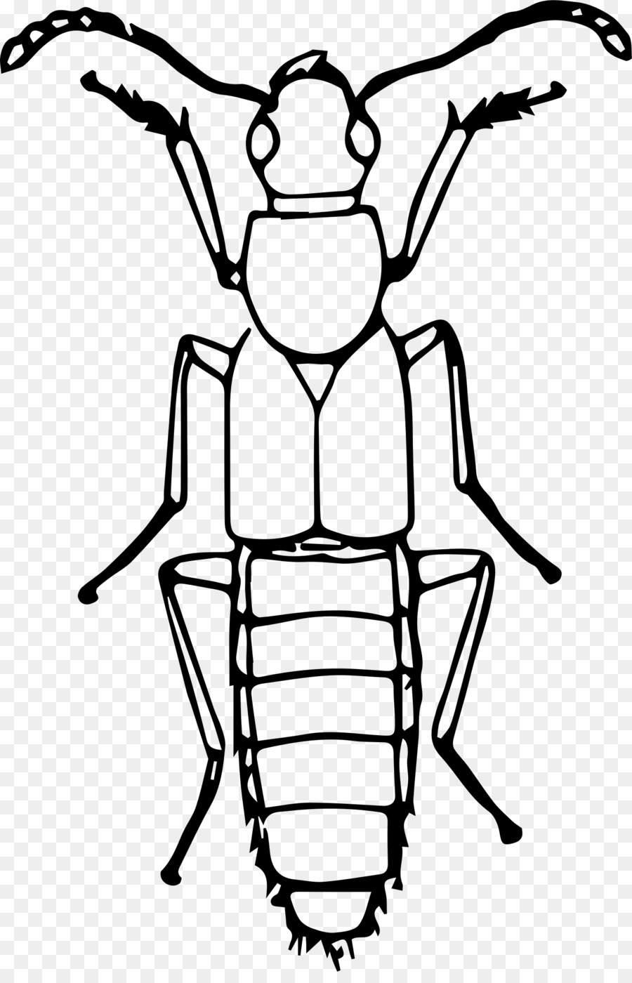 Kumbang Volkswagen，Kumbang PNG