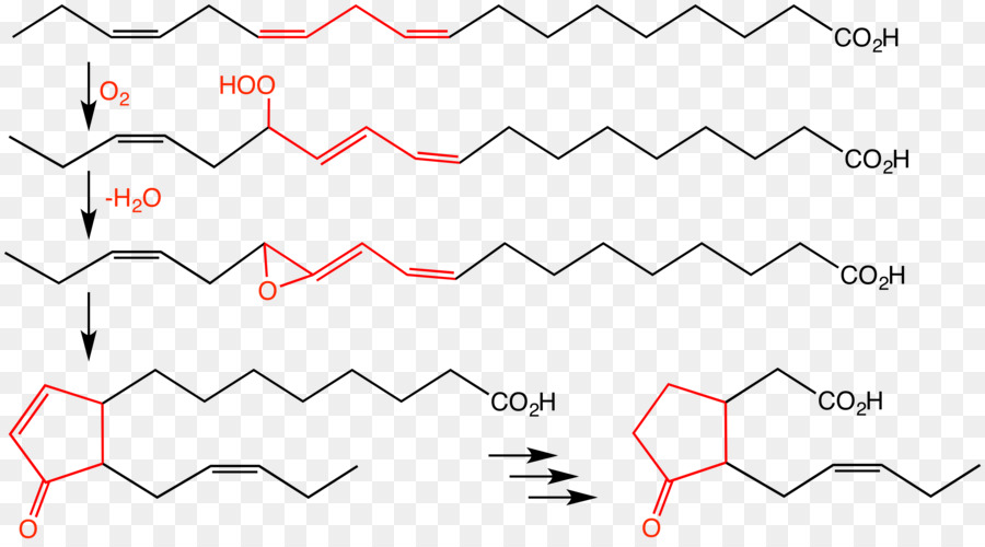 Asam Jasmonic，Jasmonate PNG