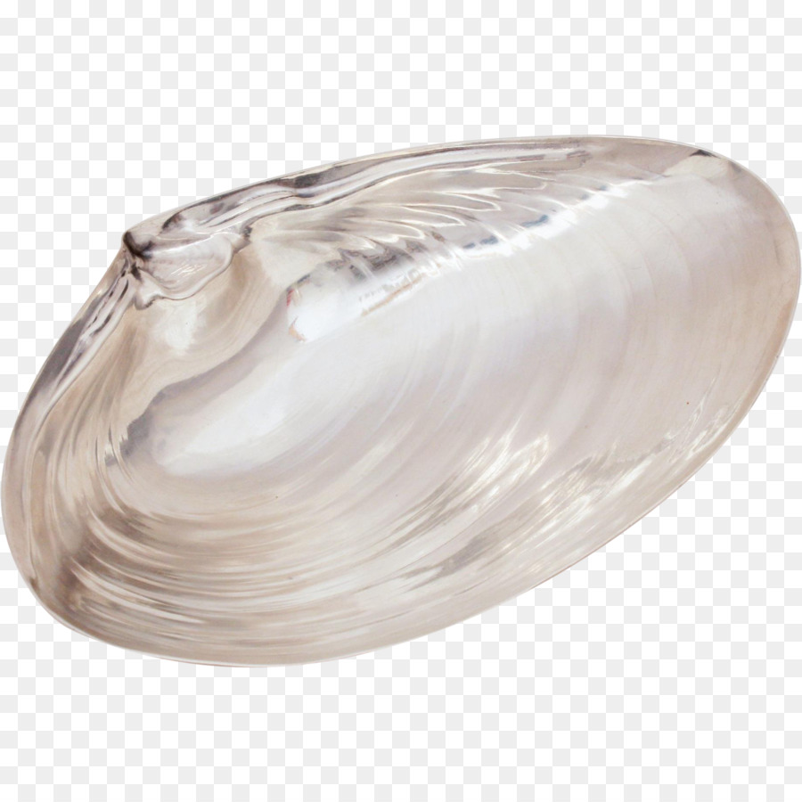 Kerang，Kerang Laut PNG