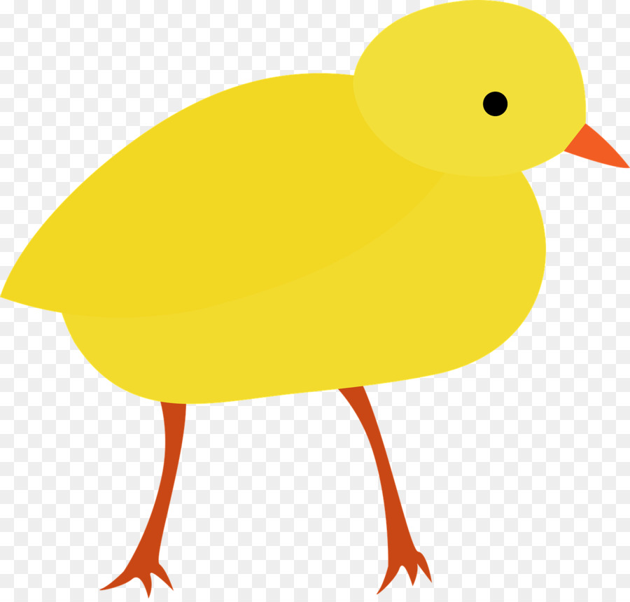 Burung Kuning，Kartun PNG