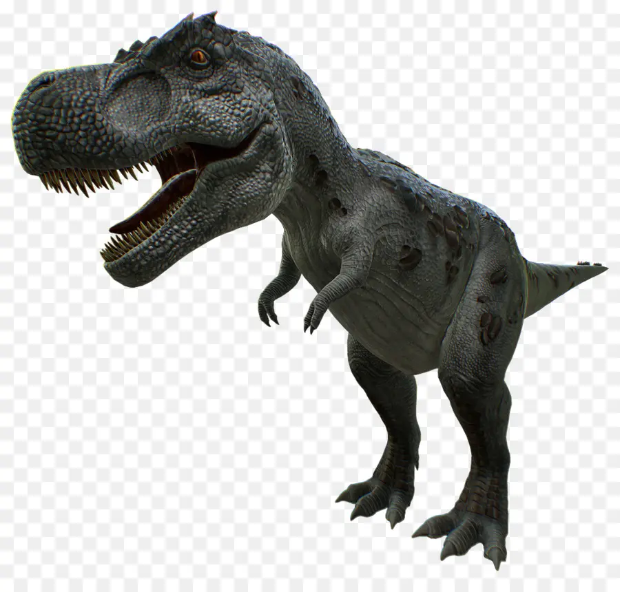 T Rex，Gigi PNG