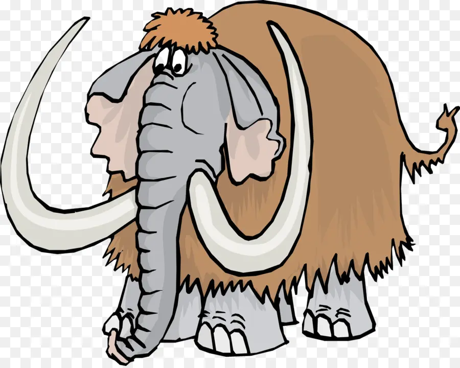 Gajah Afrika，Gajah PNG