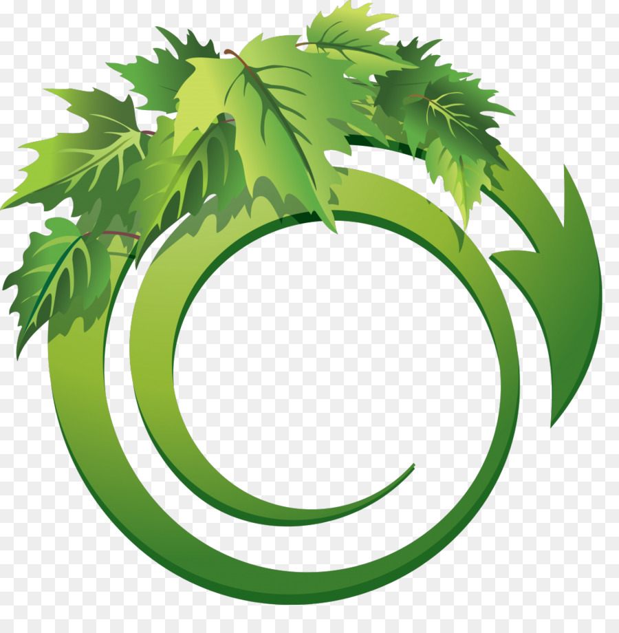 Daun，Thumbnail PNG