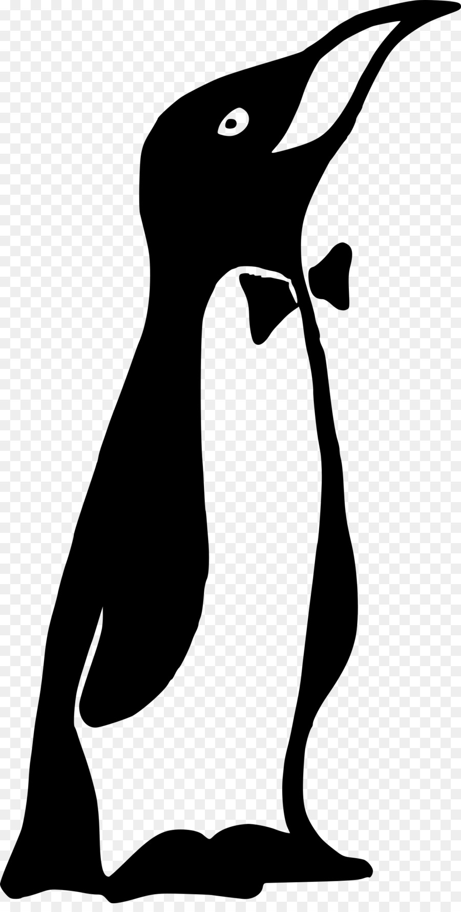 Penguin，Hitam Dan Putih PNG