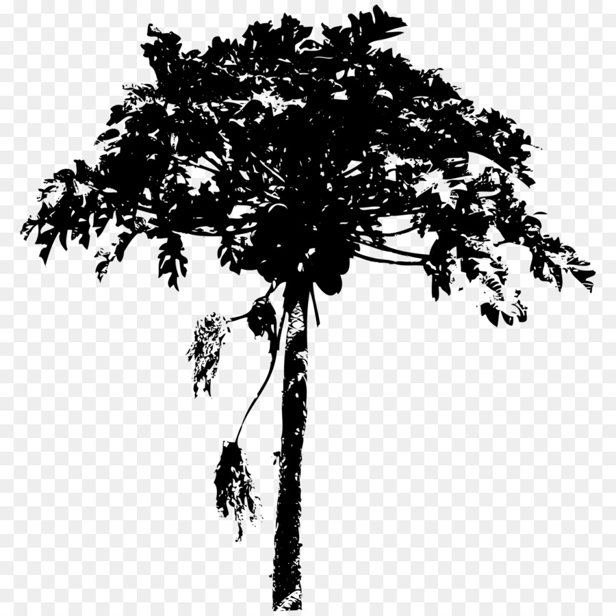Pohon，Kuas PNG