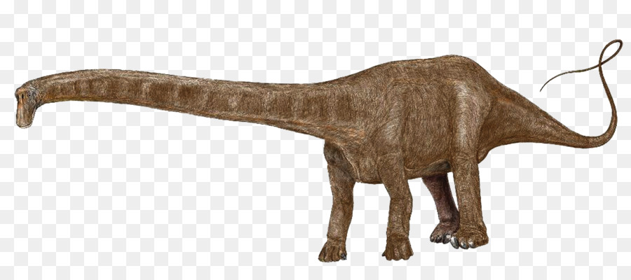 Plateosaurus，Dinosaurus Ukuran PNG