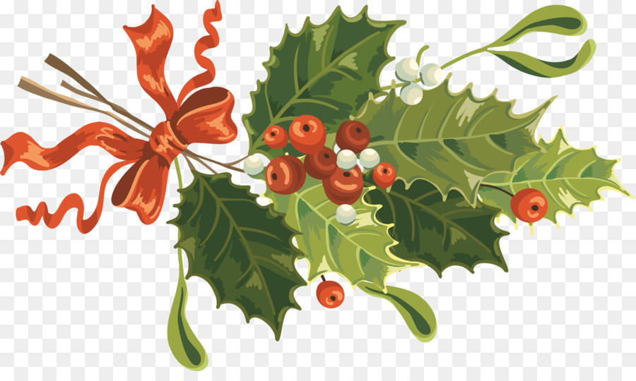 Holly，Daun Daun PNG