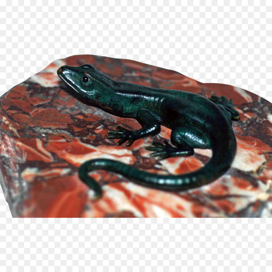 Reptil， PNG