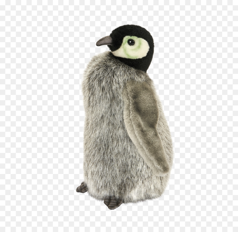 Penguin，Burung PNG