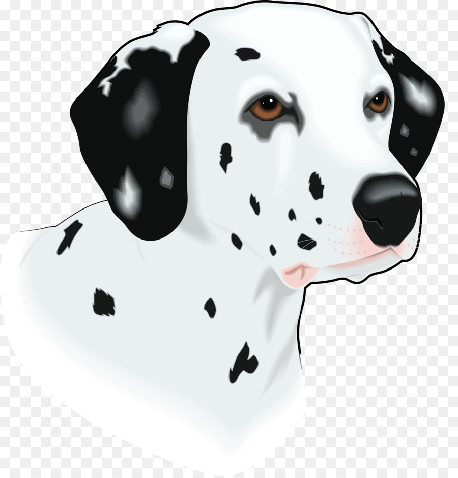 Dalmatian，Bintik Bintik PNG