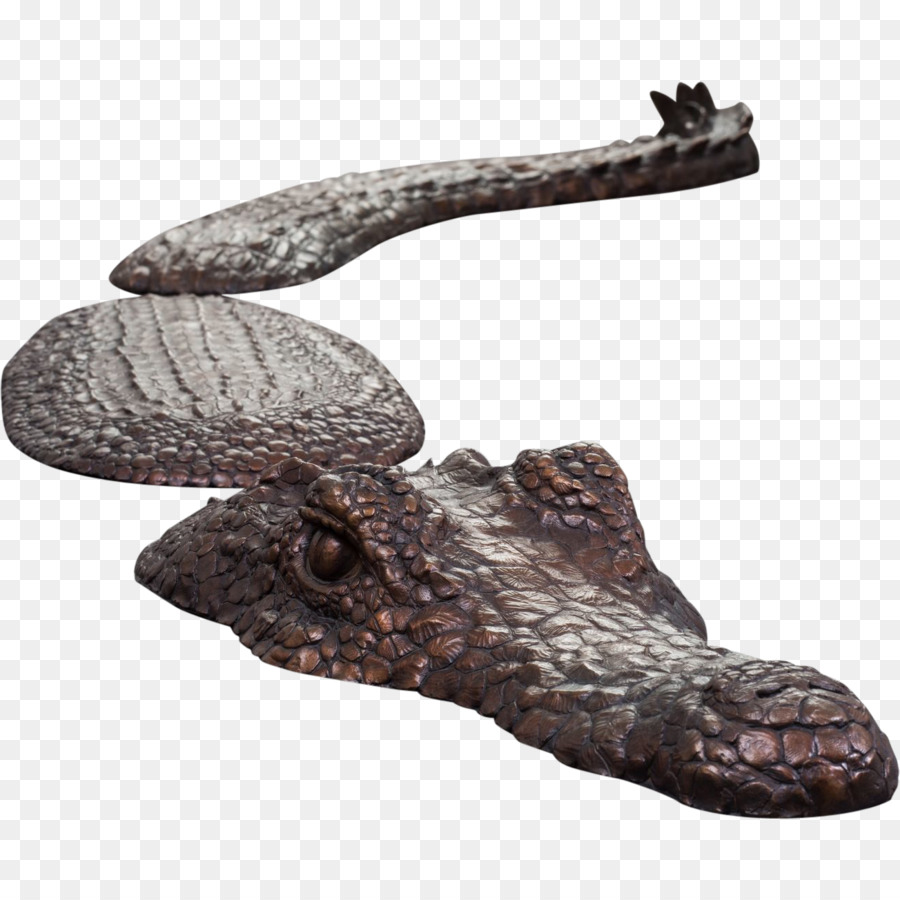 Reptil，Sepatu PNG
