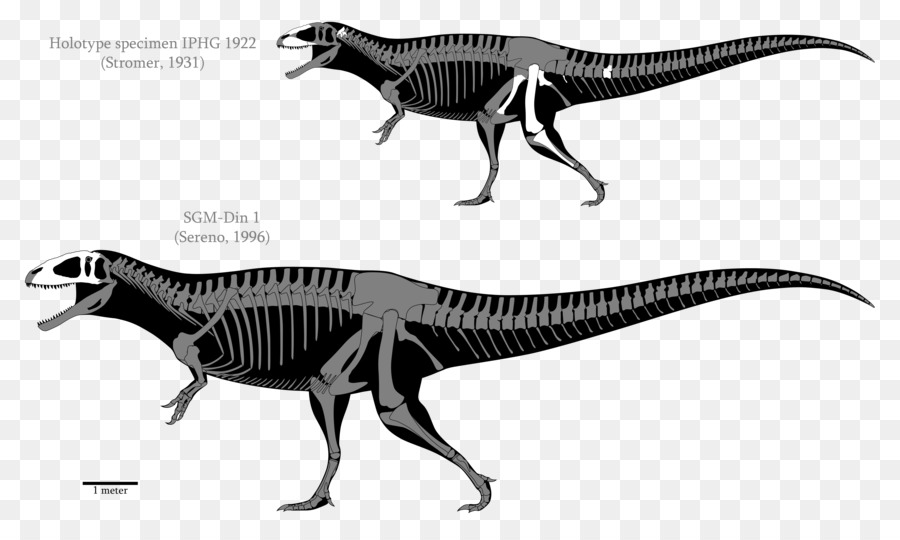 Melakukan，Acrocanthosaurus PNG