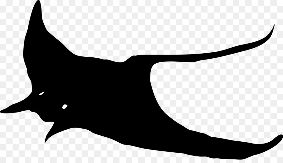 Myliobatoidei，Manta Ray PNG