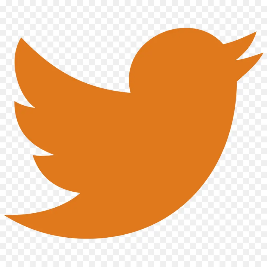 Logo Twitter，Media Sosial PNG