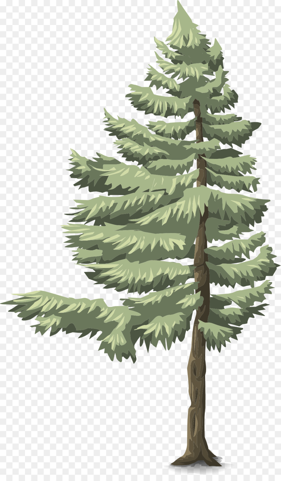 Pohon Pinus，Hijau PNG