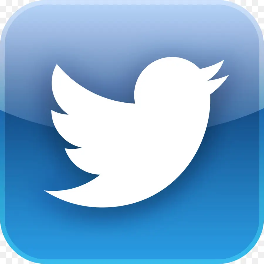 Logo Twitter，Media Sosial PNG