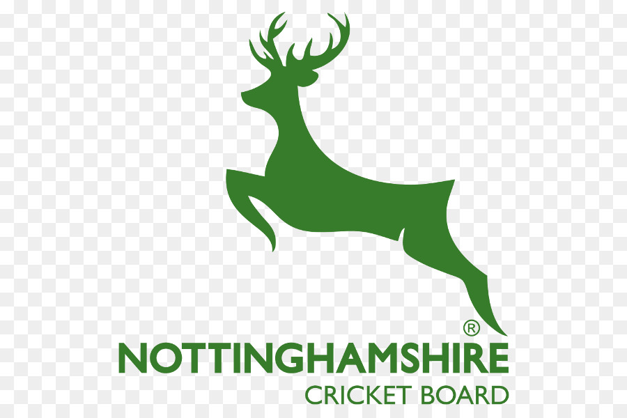 Klub Kriket Kabupaten Nottinghamshire，Kejuaraan Kabupaten PNG