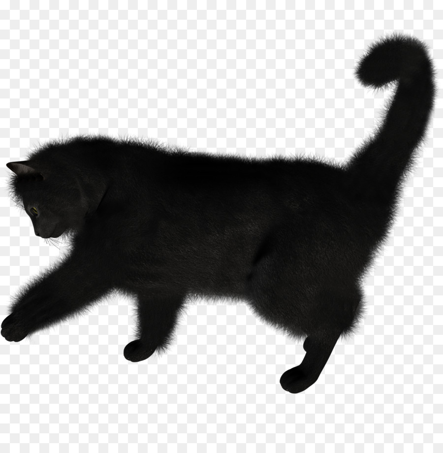 Kucing Hitam，Licik PNG