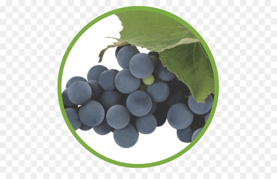 Anggur，Concord Grape PNG