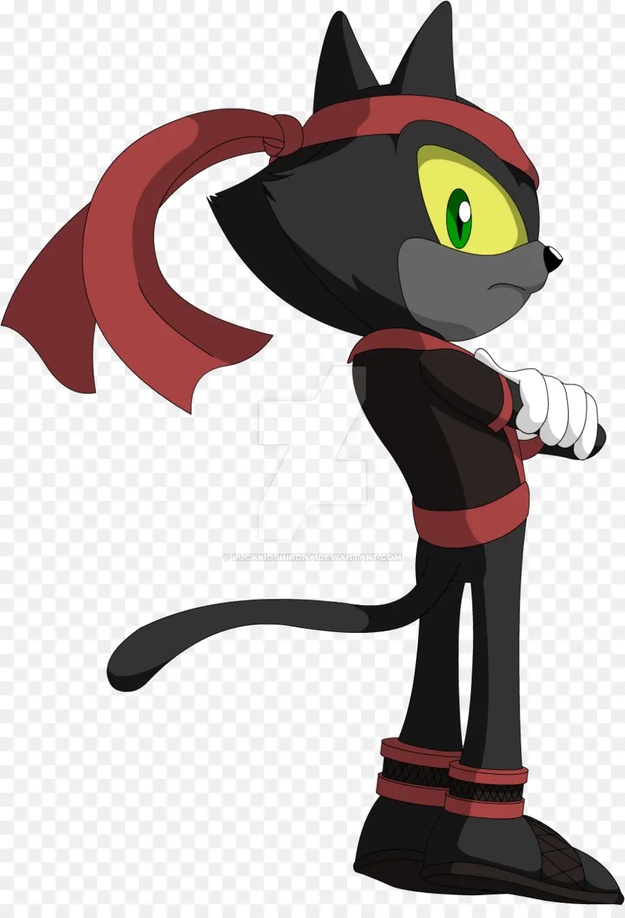 Kucing Ninja Kartun，Hitam PNG