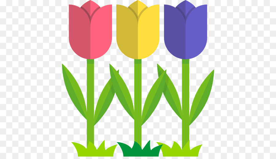 Tulip Berwarna Warni，Musim Semi PNG