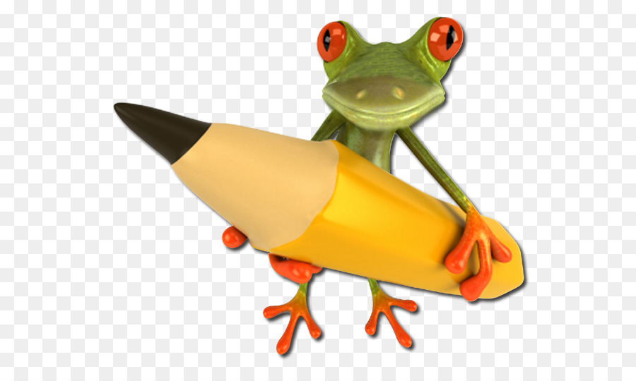 Katak Dengan Pensil，Hewan PNG