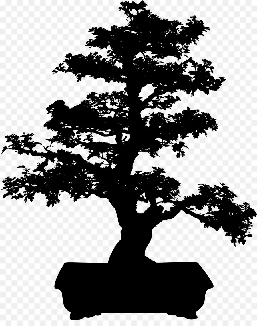 Pohon Bonsai，Pohon PNG