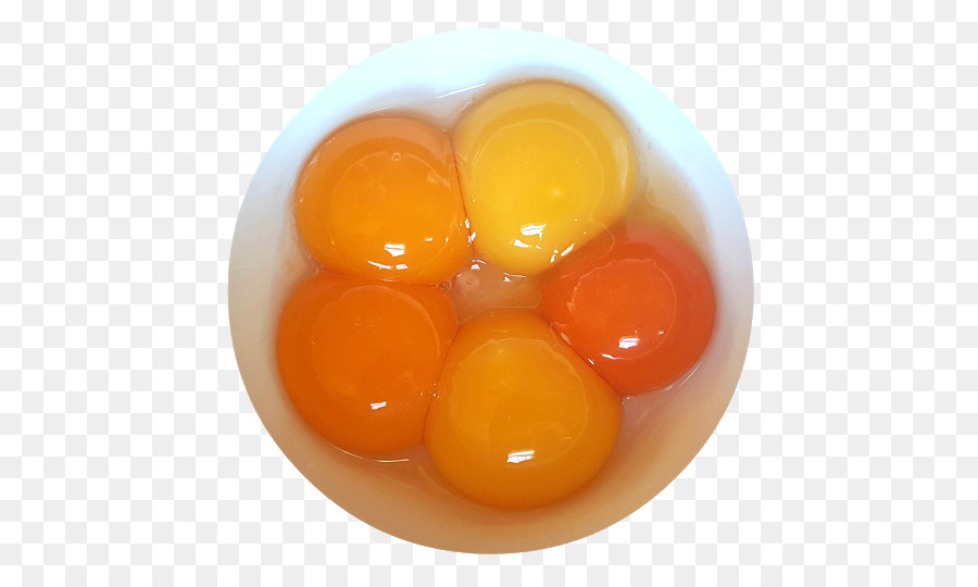 Ayam Kuning Telur  gambar png 