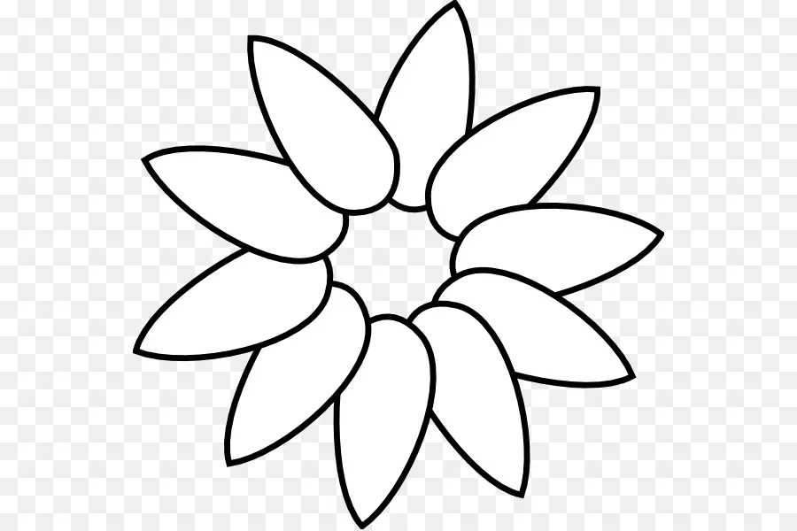 Umum Bunga Matahari，Kelopak PNG
