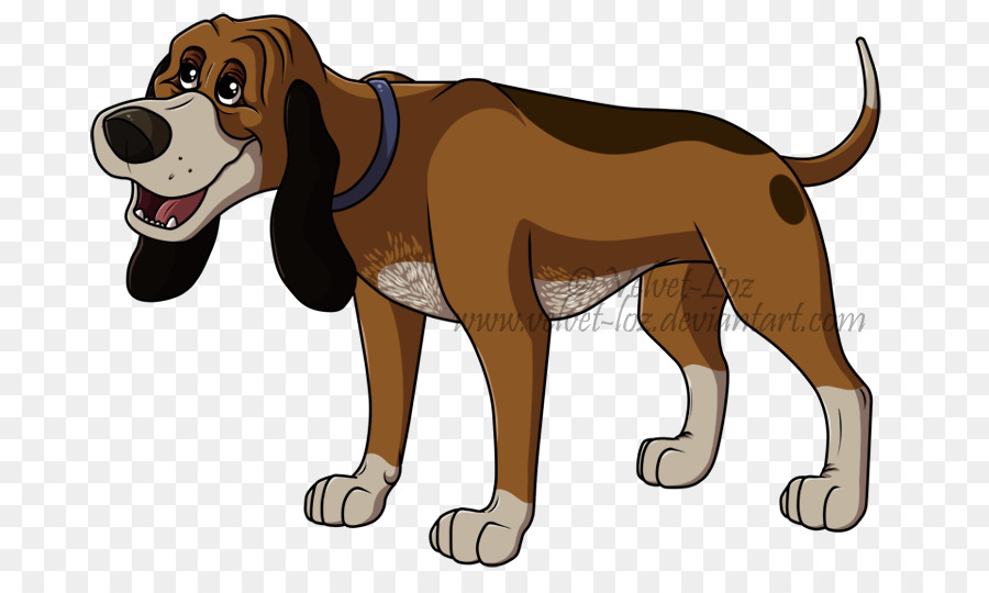 Treeing Walker Coonhound，Youtube PNG