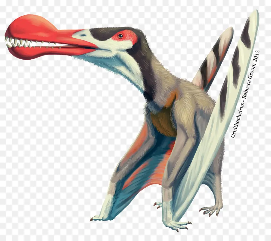 Dinosaurus，Prasejarah PNG