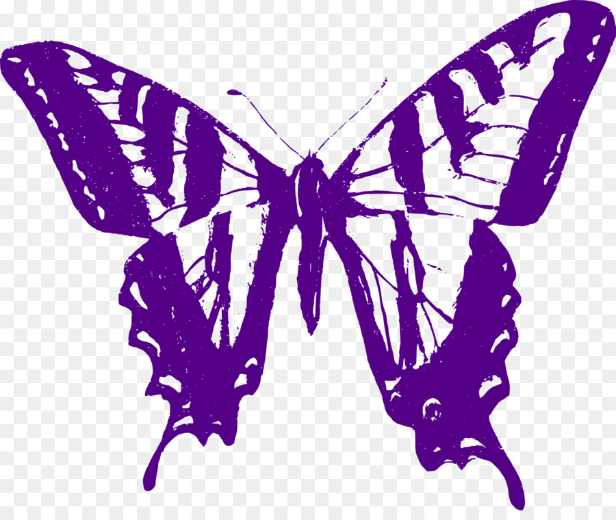 Kupu Kupu，Papilio Multicaudata PNG