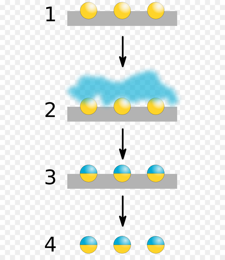 Bola Kuning Dan Biru，Proses PNG