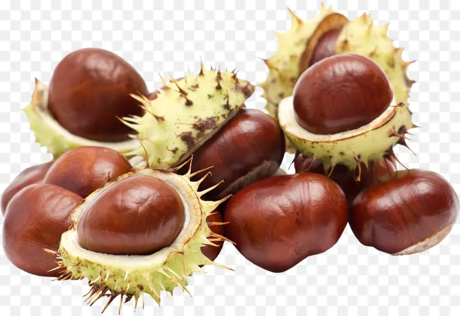 Kastanye，Kacang PNG