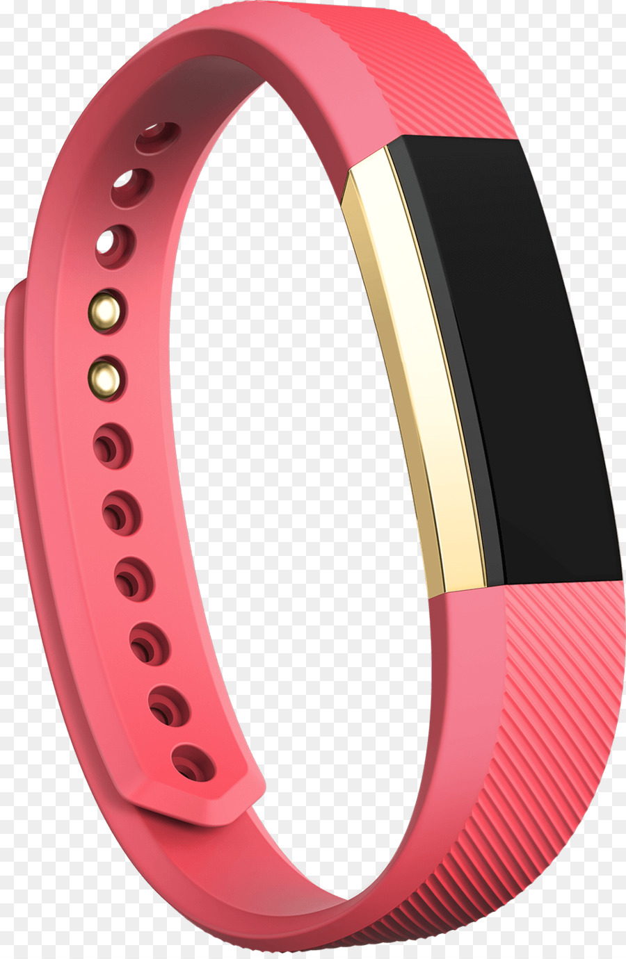 Fitbit，Aktivitas Tracker PNG