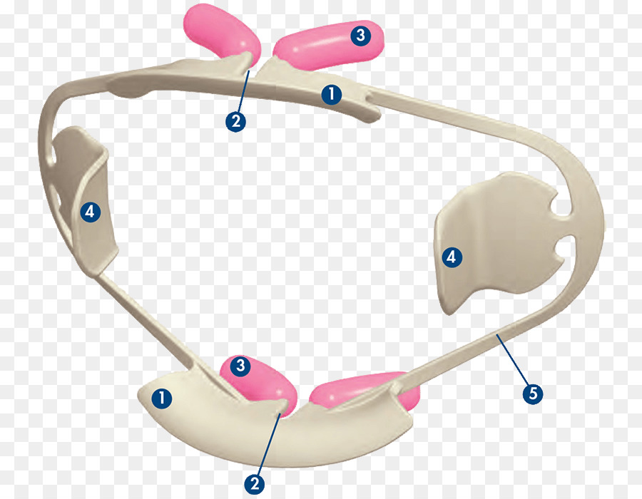 Retractor，Pipi PNG