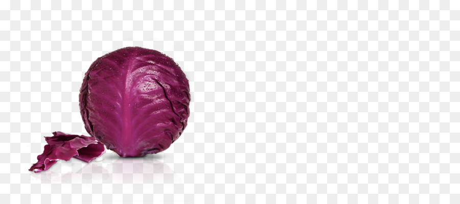 Ungu，Magenta PNG