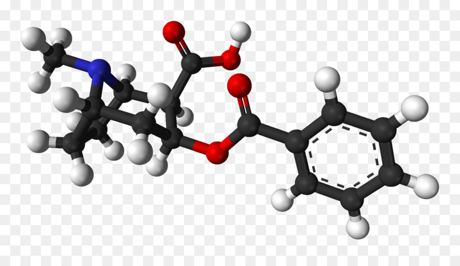 Benzoylecgonine，Ecgonine PNG
