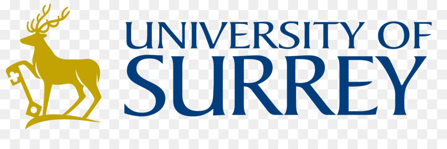 Universitas Surrey，Royal Holloway University Of London PNG